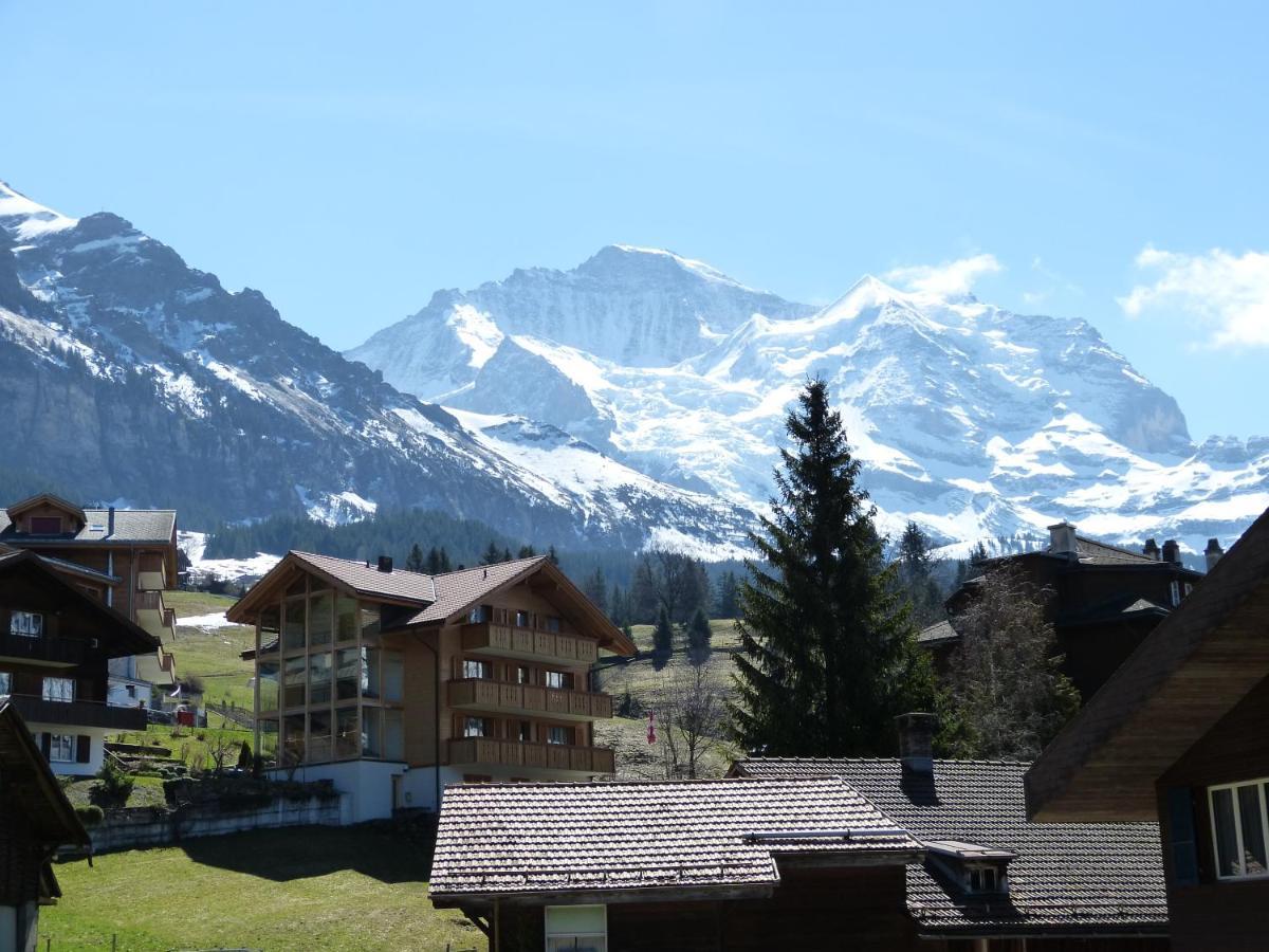Chalet Bella Vista 4 Wengen Extérieur photo